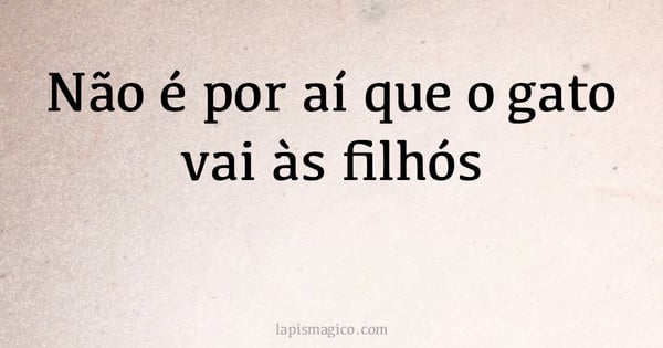 Não é por aí que o gato vai às filhós (provérbio ou dito popular)