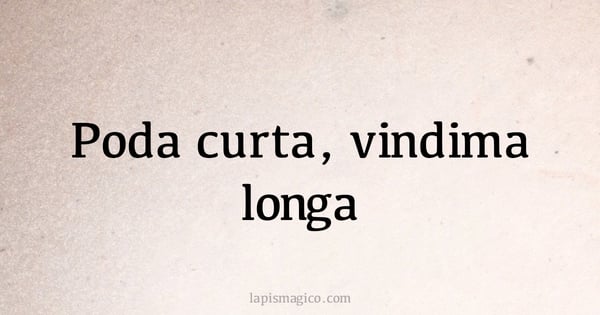 Poda curta, vindima longa (provérbio ou dito popular)