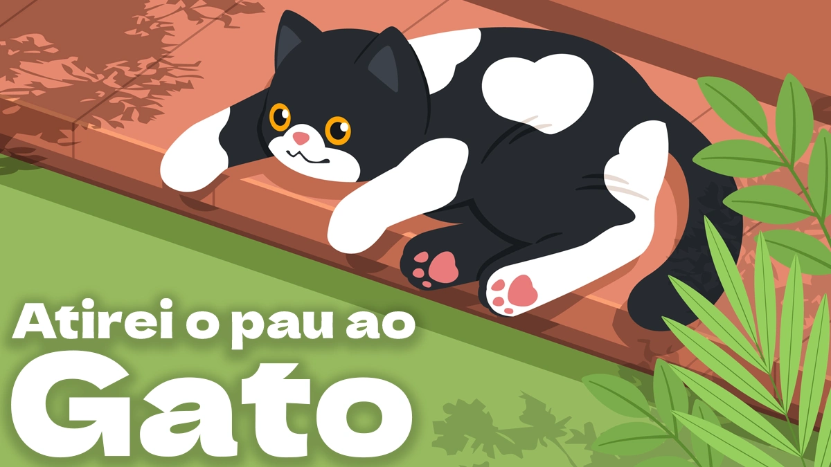 Atirei o pau ao gato (letra e vídeos)