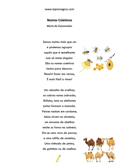 Nomes coletivos(Maria de Vasconcelos)