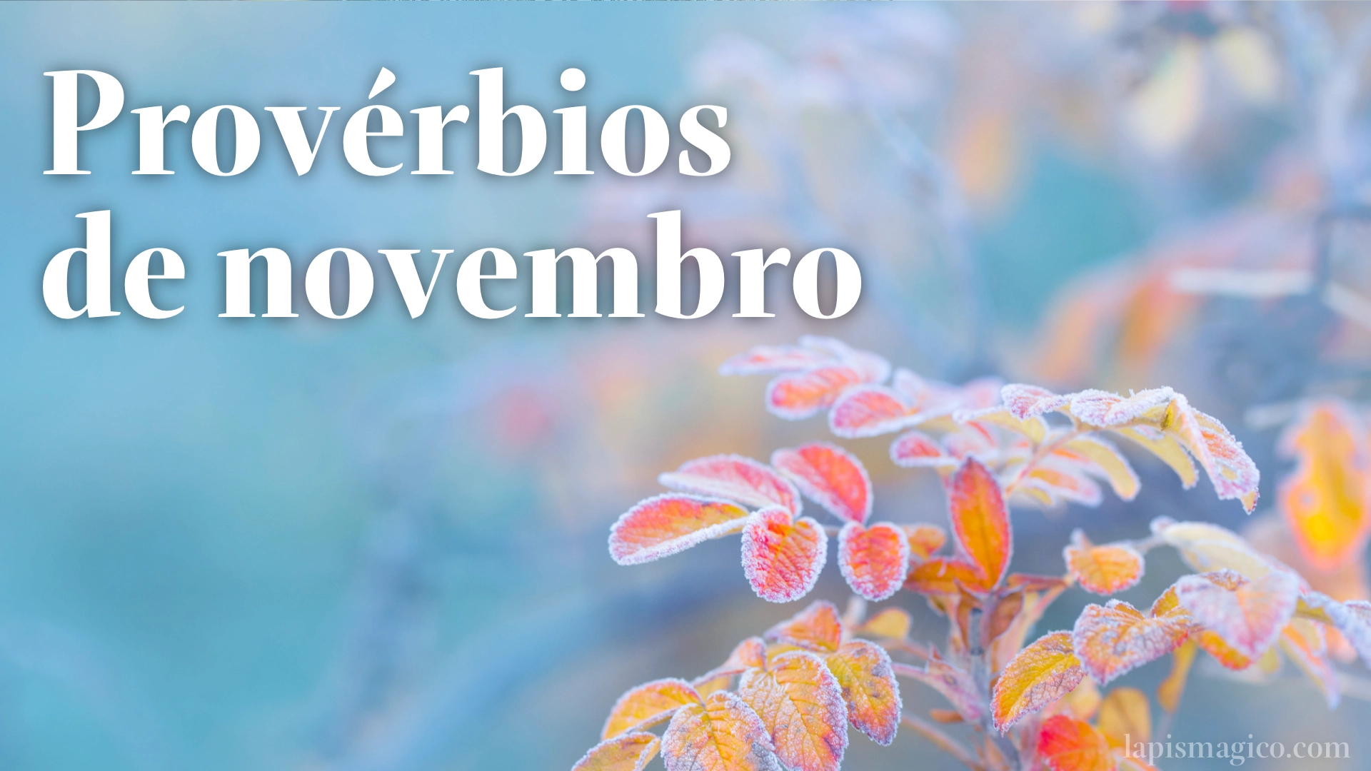 Novembro, 90 provérbios sobre o penúltimo mês do ano